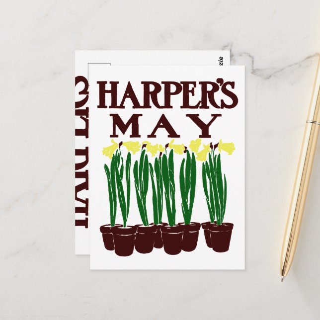 Harper's 1899 Edward Penfield Daffodils Postcard (Front/Back In Situ)