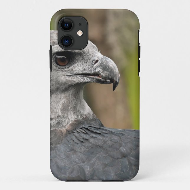 Harpy Eagle 1.JPG Case-Mate iPhone Case (Back)