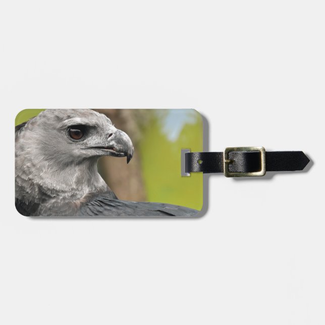 Harpy Eagle 1.JPG Luggage Tag (Front Horizontal)