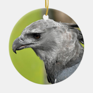 Harpy Eagle 2.JPG Ceramic Ornament
