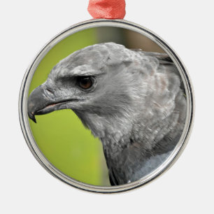 Harpy Eagle 2.JPG Metal Tree Decoration
