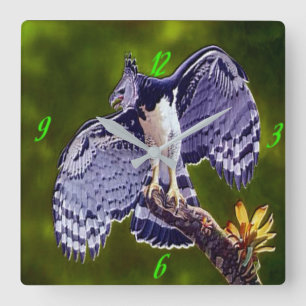 "Harpy Eagle" Acrylic Wall Clock