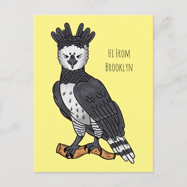 Harpy eagle cartoon illustration postcard (Front)