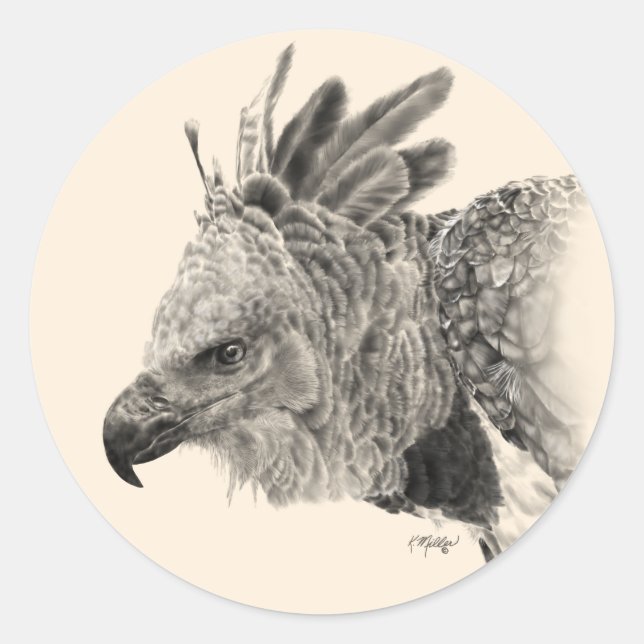 Harpy Eagle Drawing Classic Round Sticker (Front)