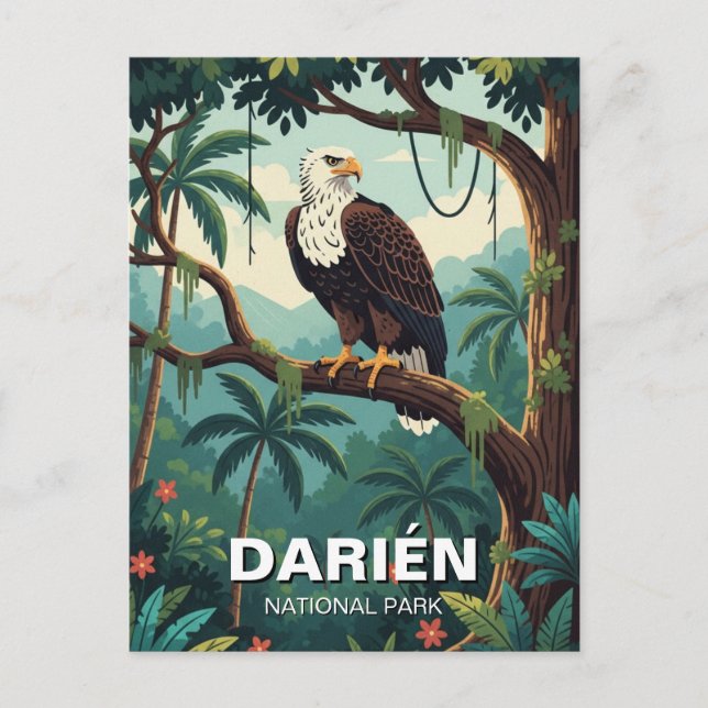 Harpy Eagle in Darien National Park Panama  Postcard (Front)