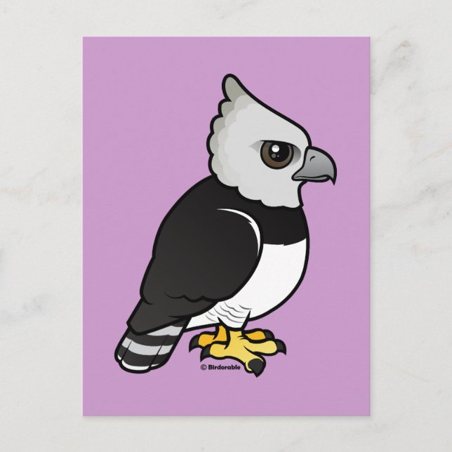 Harpy Eagle Postcard (Front)