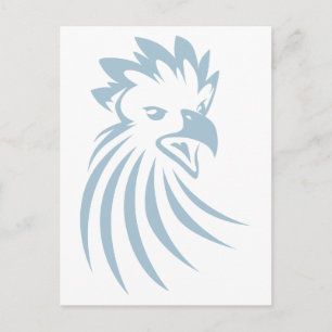Harpy Eagle Postcard