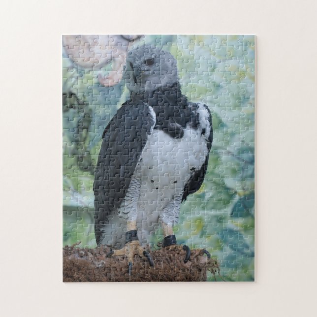 Harpy Eagle Still Jigsaw Puzzle (Vertical)