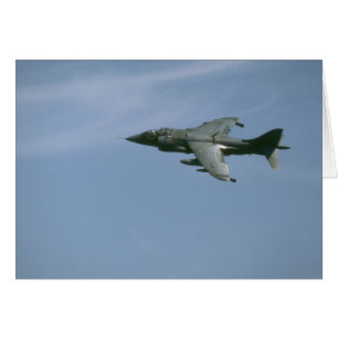 Harrier In Flight