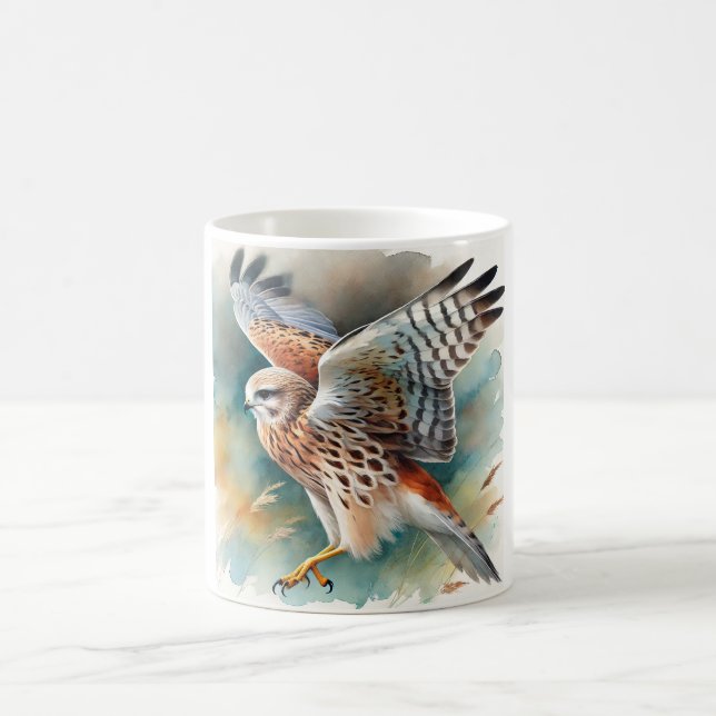 Harrier in flight 060924AREF109 - Watercolor Coffee Mug (Center)