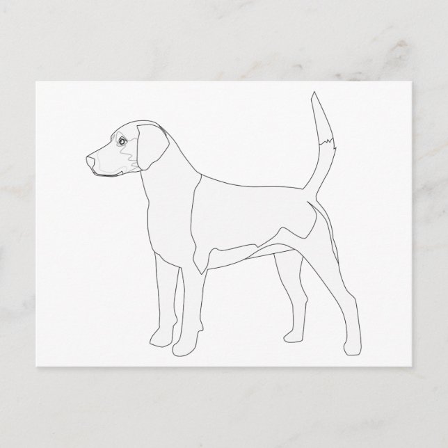 Harrier Ready to Colour Design Postcard (Front)