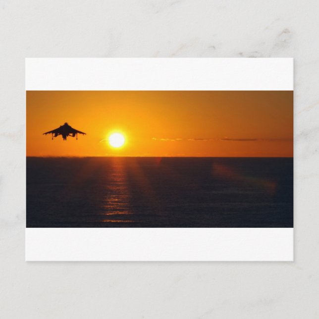 "HARRIER SUNRISE" POSTCARD (Front)
