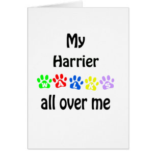 Harrier Walks Design