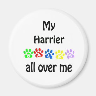 Harrier Walks Design Magnet