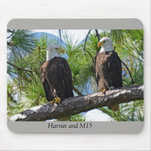 Harriet and M15 love Mouse Pad