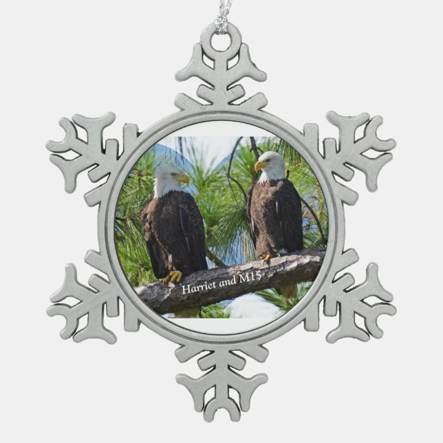 Harriet and M15 ornament (Front)