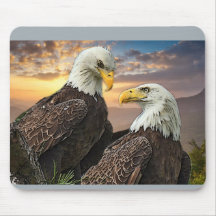 Harriet and M15 when I look into your eyes