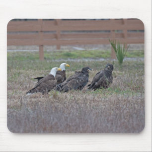 Harriet M15 E10 and E11 Mouse Pad