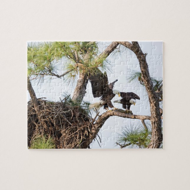 Harriet & M Puzzle (Horizontal)