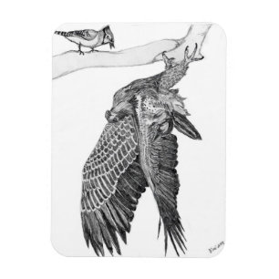 HARRIET OZZIE M HOME STORY OF FAMILY TREE E9 OOPS MAGNET