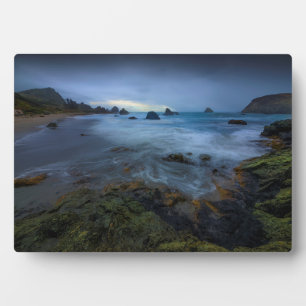 Harris Beach State Park Oregon Plaque
