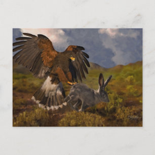Harris Hawk and Jackrabbit - acrylic Postcard