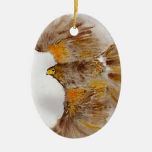 Harris Hawk, Bird of Prey Ceramic Tree Decoration