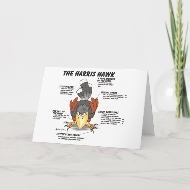 Harris Hawk Cartoon Card (Front)