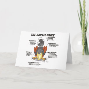 Harris Hawk Cartoon Card