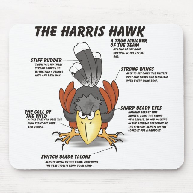 Harris Hawk Cartoon Mouse Pad (Front)