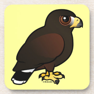 Harris Hawk Coaster
