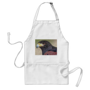 Harris Hawk coloured pencils Standard Apron