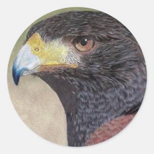 Harris Hawk-cp Classic Round Sticker