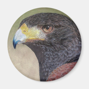 Harris Hawk-cp Magnet