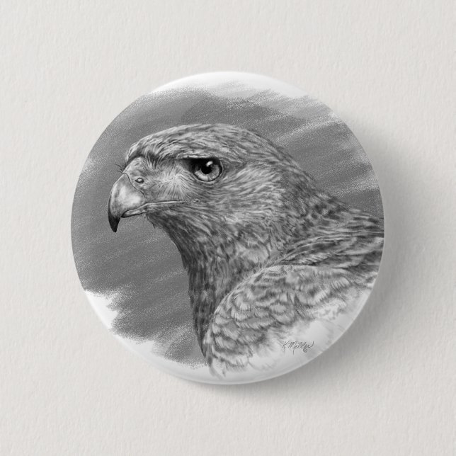 Harris Hawk Drawing 6 Cm Round Badge (Front)