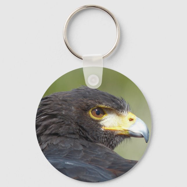 Harris Hawk Key Ring (Front)