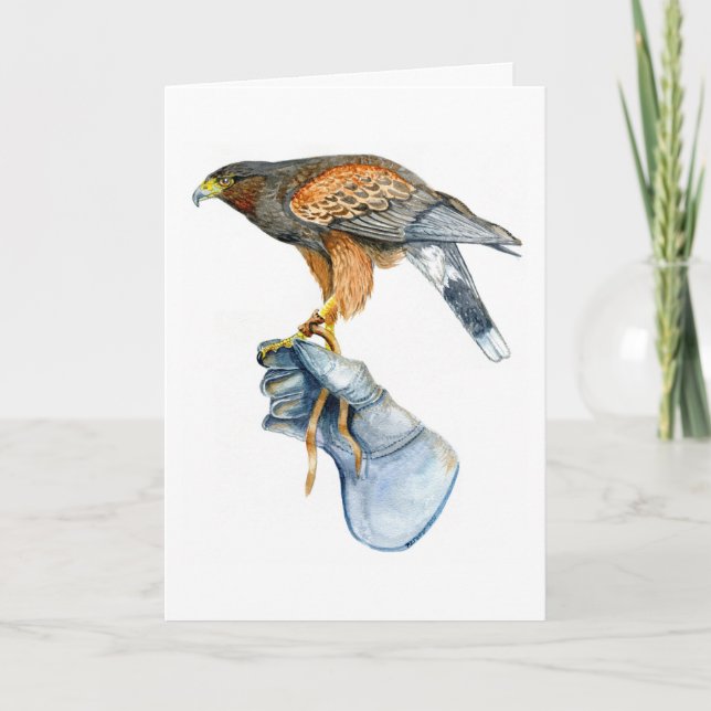 Harris Hawk on Glove birthday Card (Front)