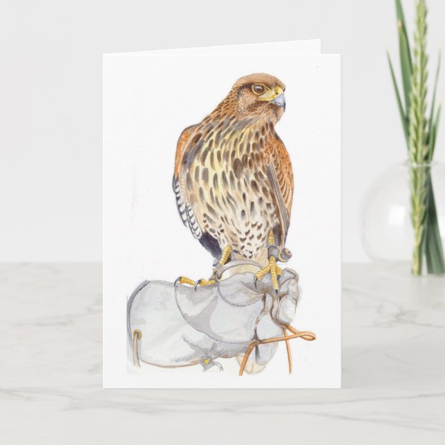 Harris Hawk on Glove birthday Card (Front)