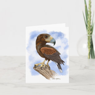 Harris Hawk On The Lookout Cartoon	 Card