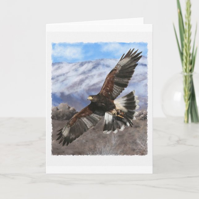Harris Hawk- pastel Card (Front)
