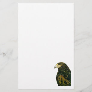 Harris Hawk  Stationery