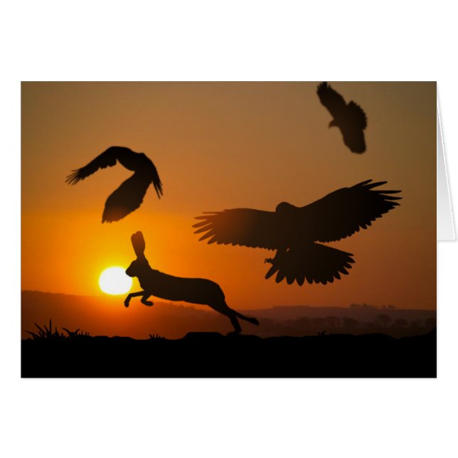 Harris Hawks Hunting card (Front Horizontal)