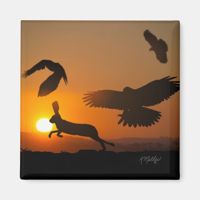 Harris Hawks Hunting Magnet (Front)