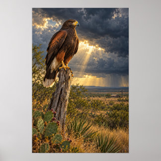 Harris’s Hawk Under a Texas Storm Poster