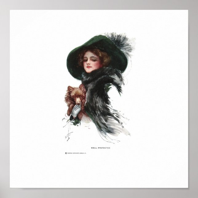 Harrison Fisher Well Protected Poster (Front)