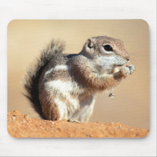 Harris's antelope squirrel (Ammospermophilus) Mouse Pad