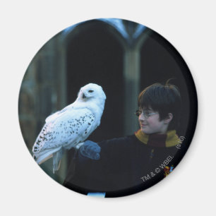 Harry and Hedwig 2 Magnet