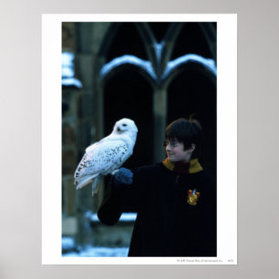 Harry and Hedwig 2 Poster