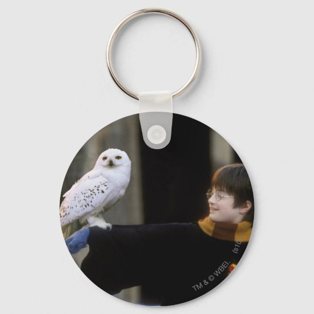 Harry and Hedwig 3 Key Ring (Front)
