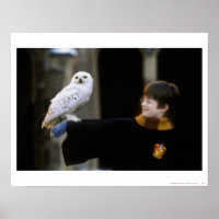 Harry and Hedwig 3